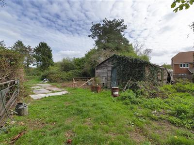 Picture 17